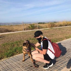 promenad med en hund från hundstallet Torrevieja
