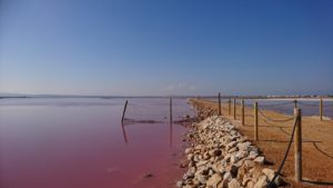 train to las salinas tåg till rosa sjön saltsjön Torrevieja