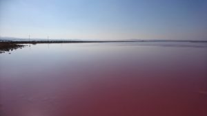 las salinas rosa sjön saltsjön Torrevieja